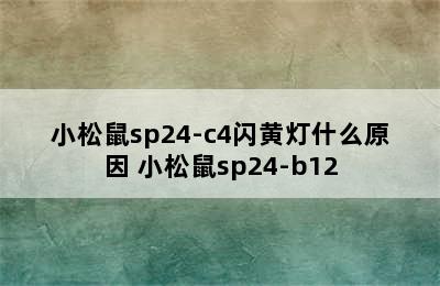 小松鼠sp24-c4闪黄灯什么原因 小松鼠sp24-b12